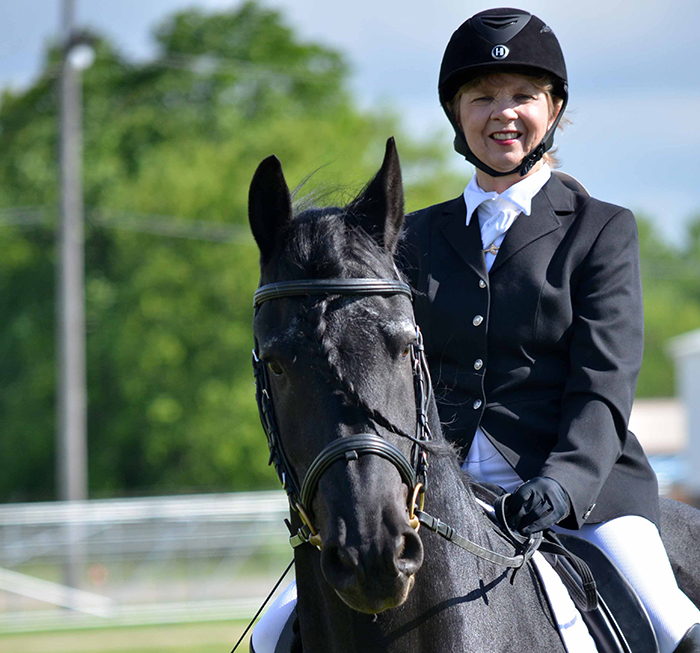 Friesian stallion Arcangel