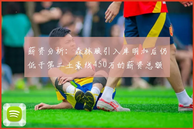 薪资分析：森林狼引入库明加后仍低于第二土豪线450万的薪资总额